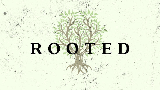 Rooted: New & Improved Series